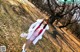 Sayaka Kazuki - Nudeass Hdvideos Download P10 No.49bde4 Image No. 5